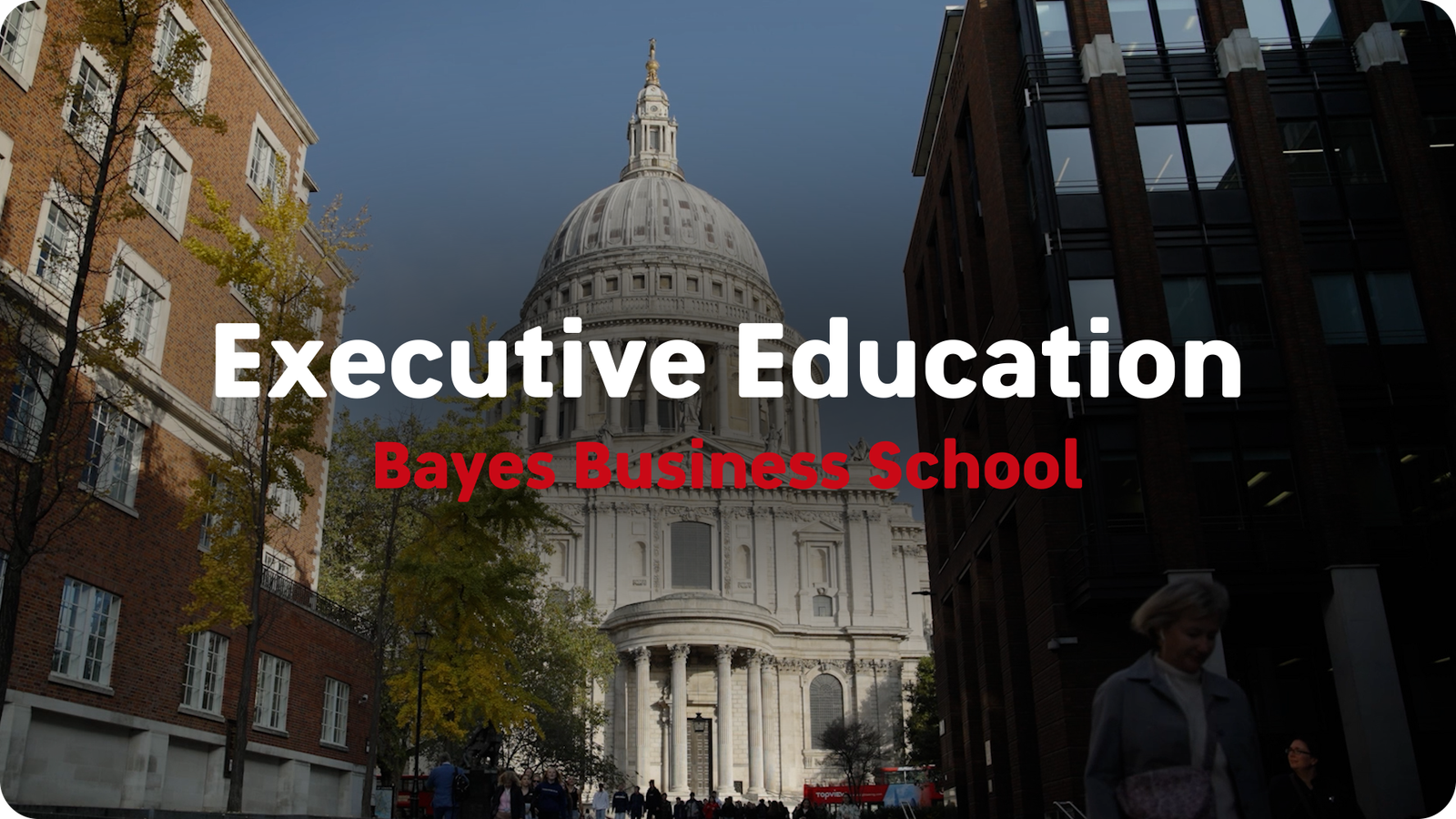 executive education 00000